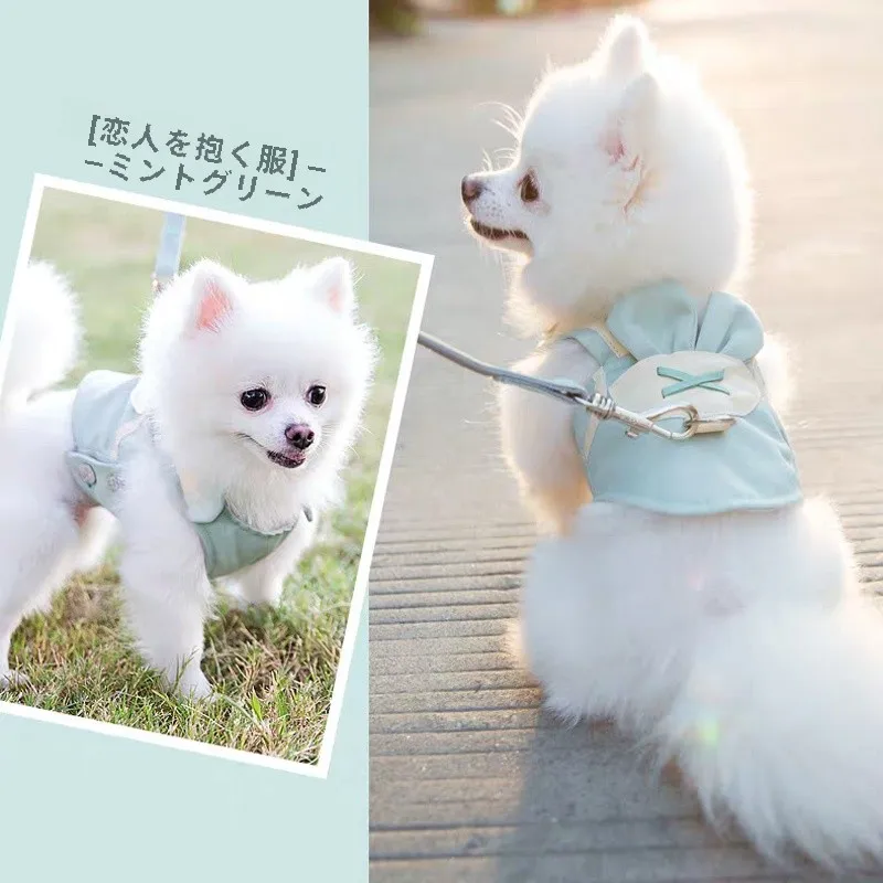 ハーネスで引っ張りを防ぐには？メッシュ通気  性タイプが中小型犬に最適な理由
