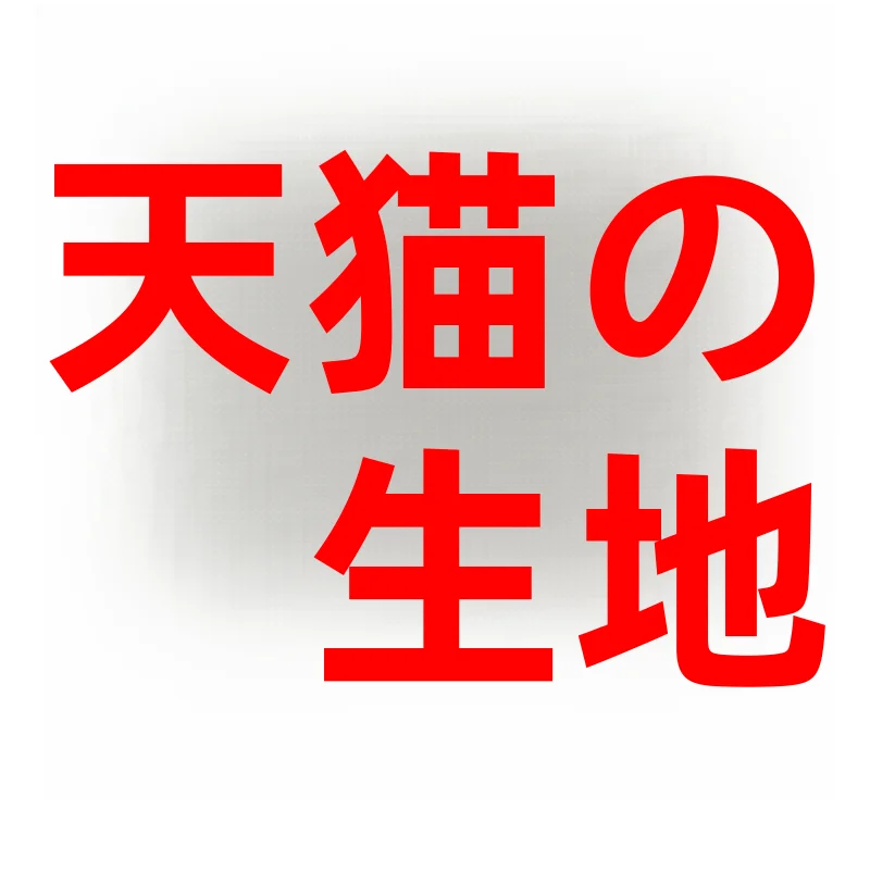 リネンシャツを選びながらも、夏の肌にやさしさをどう保つ？