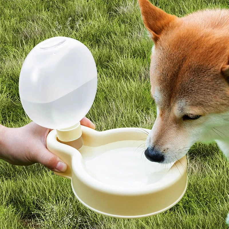 犬用アウトドア水筒：500mlサイズの持ち運び便利さとキャンプでの実用性