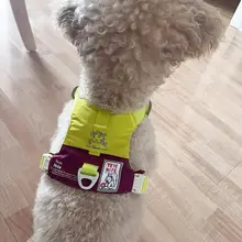 軽量で通気性の良い小型犬用ハーネス【伸縮性リード付き・快適設計】