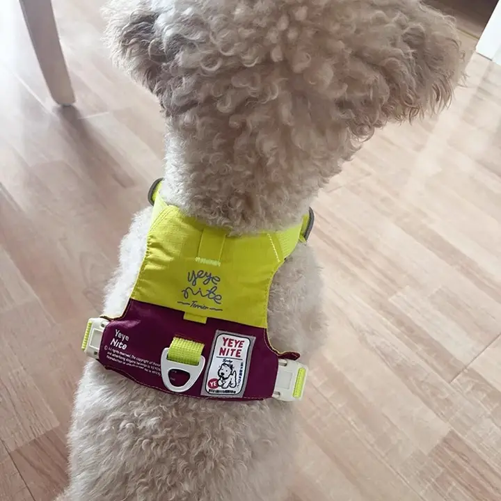 軽量で通気性の良い小型犬用ハーネス【伸縮性リード付き・快適設計】