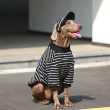 大型犬用 冬季ペットウェア【暖かい保温素材・ラブラドール・ゴールデン・ドーベルマン対応】