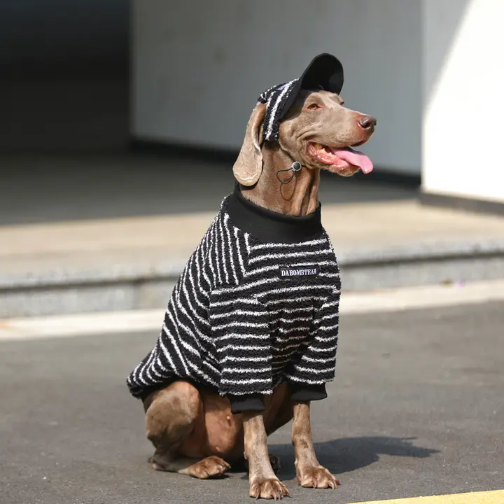 大型犬用 冬季ペットウェア【暖かい保温素材・ラブラドール・ゴールデン・ドーベルマン対応】