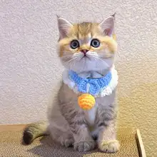 可愛い手作り編み猫用エプロン【うさぎデザイン・金色グラデーション】