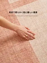 玉米绒のリビング用ラグ【柔らかく快適・お手入れ簡単・高級感】