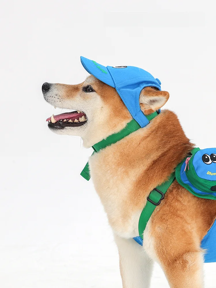 犬の帽子を選ぶときに迷うなら、この1つのポイントで解決できる？