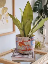 掬涵マティス 陶器製 アートフラワーポット 中サイズ【多肉植物・ラン・グリーンロア用】