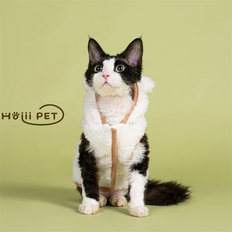 猫飼いが買ってよかったもの・悪かったもの正直に言う｜秋冬保温ベストの実際の効果と選び方