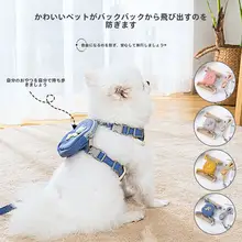 ペット用 ハーネス付きリード【防脱落・バックパックスタイル・小中型犬用】