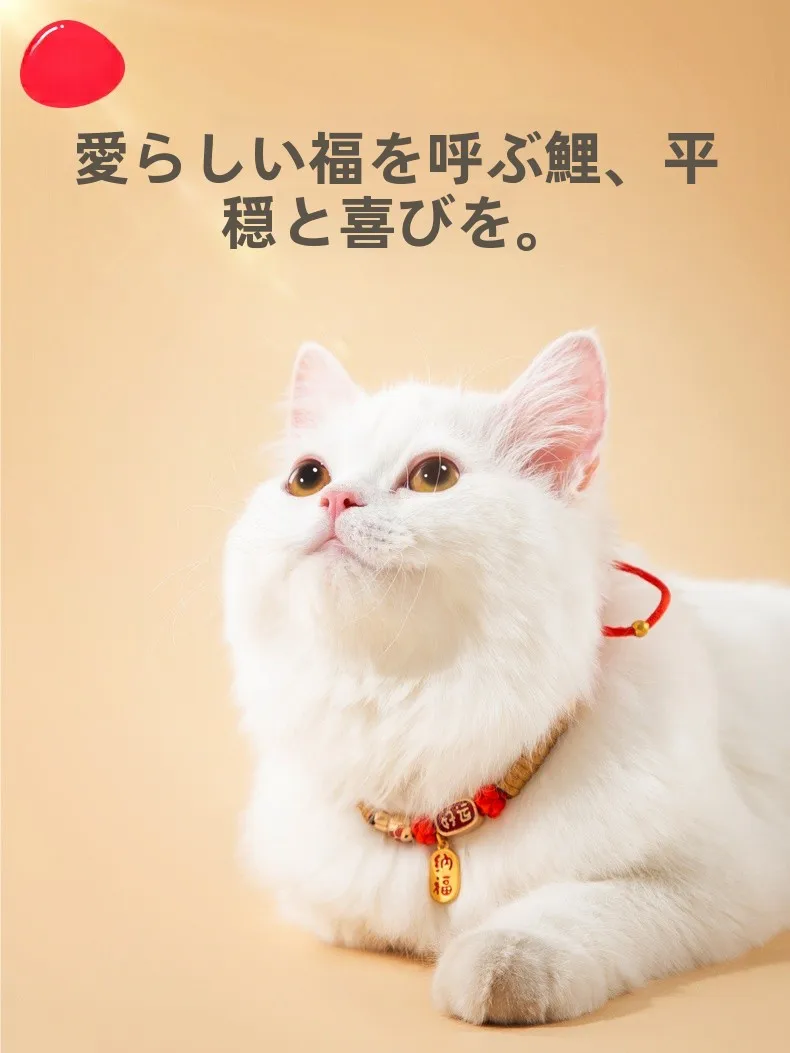 ペットジュエリーの取り入れ方は？4選で実際の生活に溶け込む方法を解説