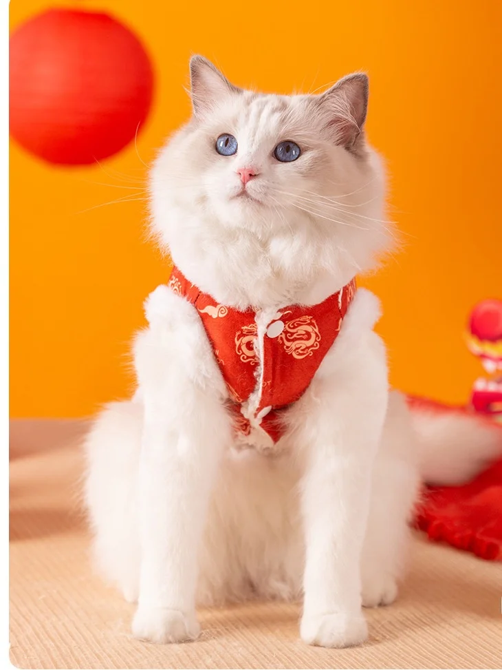 チーズクレストの飼育に最適な中国風洋服：冬用不倒绒マジックマントの実用性解析