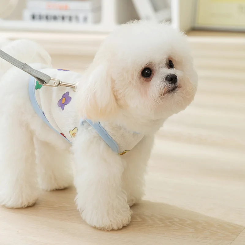 小型犬用夏用全身プリントベスト：散歩服装の通気性と牽引機能を実証