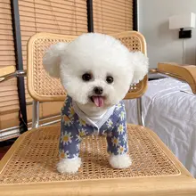 ペット用秋冬プリントニットカーディガン【テディベア・保温・犬・猫用】