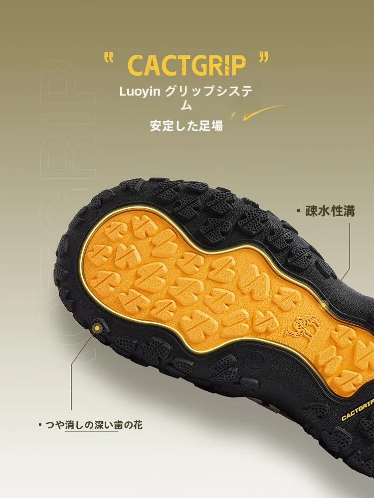 Camel ハイキングシューズ L26S202026A：女性向けローカットトレッキングシューズの実用性と性能検証