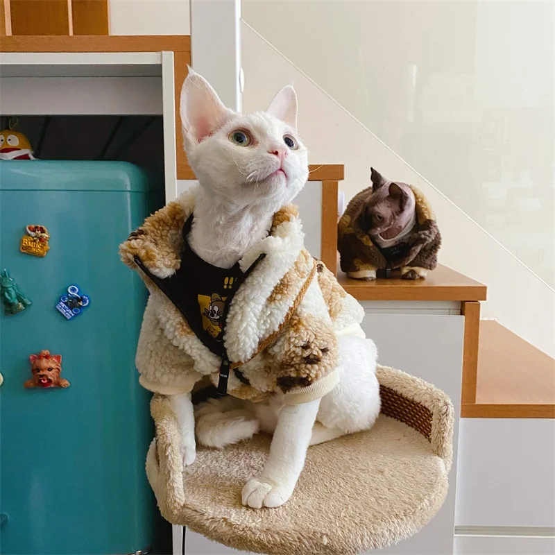 スフィンクス猫用ハイネックコート：韓国風厚手ペット服の実用性と使用シーン