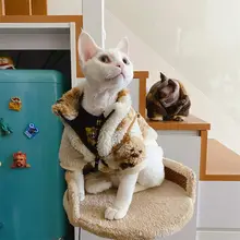 スフィンクス猫用衣服 ハイネック 暖かい ペット用コート 厚手 かわいい 韓国風