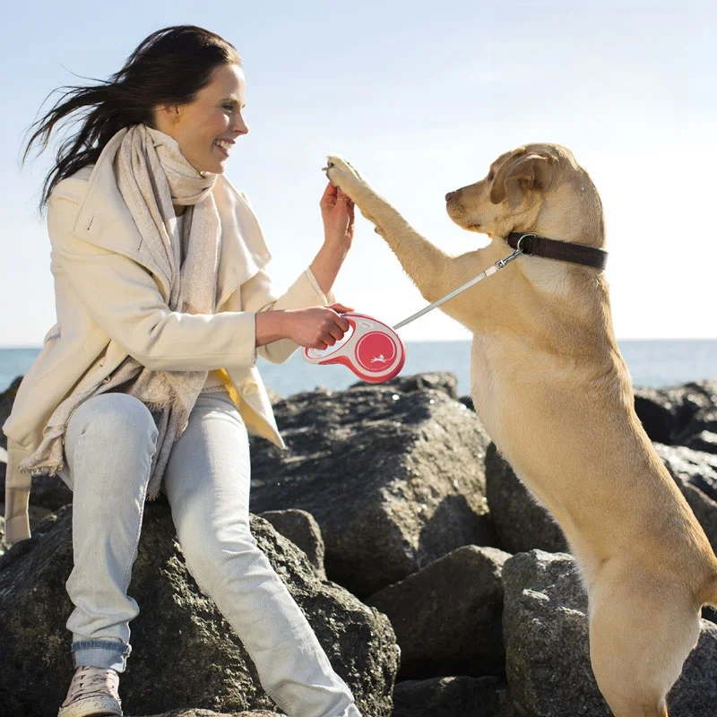 犬のお散歩グッズをコスパ良く揃える方法｜自動伸縮リードで安全と快適を実現