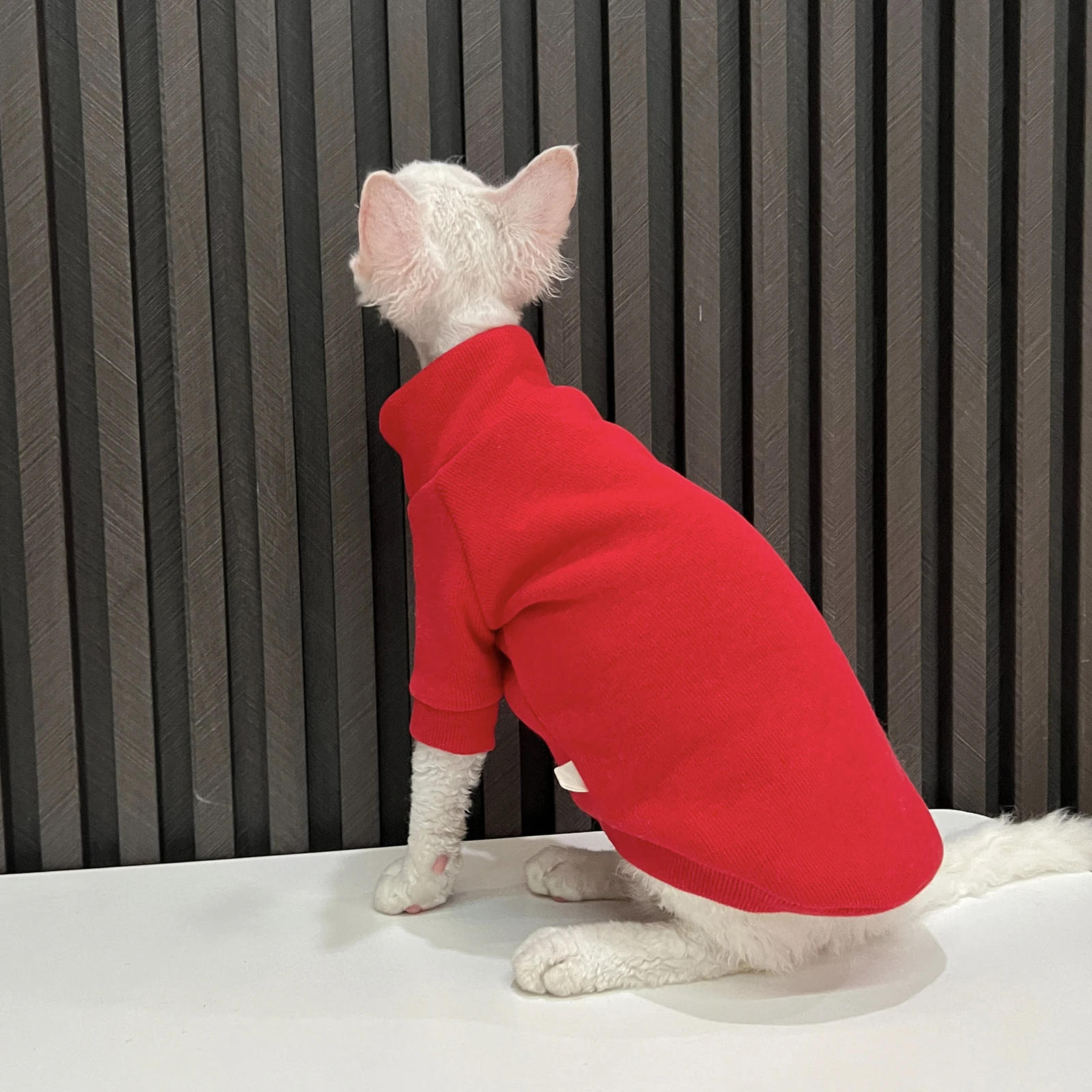 暖かさとスタイルを両立する猫用フリースセーター：一人暮らしに最適な無毛猫向けアイテム