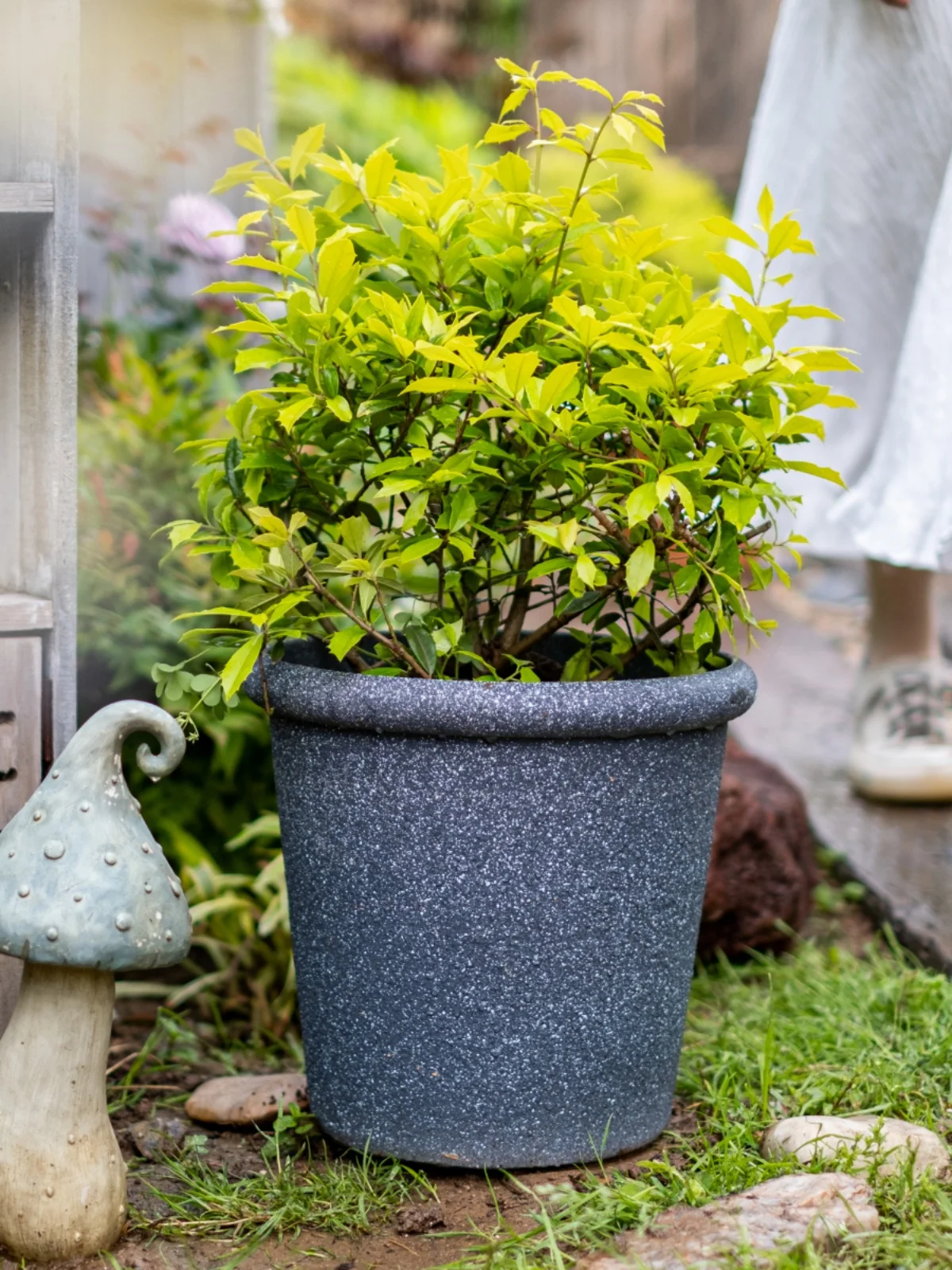 植木鉢 大型 室内外に適した エコプラスチック レジン 擬似陶器