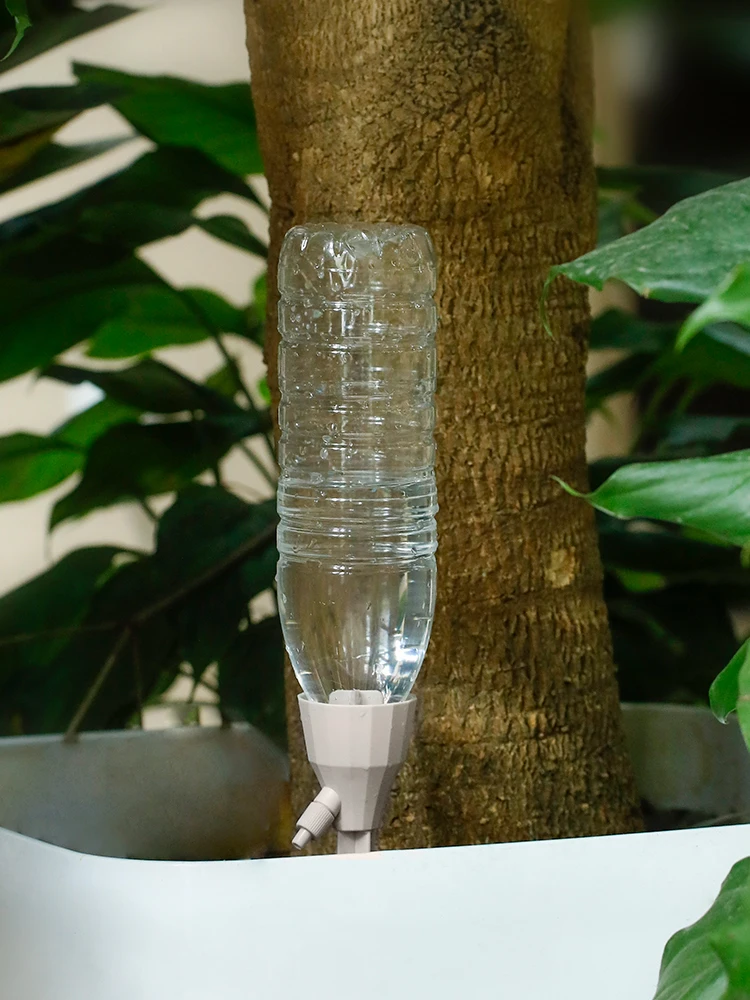 観葉植物の自動水やりは、本当に必要なのか？