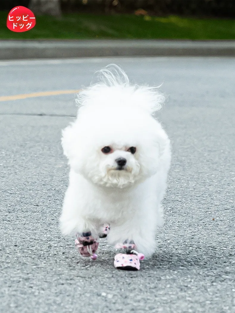 hipidog 犬用シューズ：汚れ防止と脱げにくい設計が小型犬に最適な実用性を実現