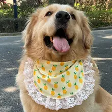 犬用フロントカバー【中型・大型犬用・シリコン製・可愛いデザイン】（セットアップ対応）
