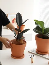 プランター 多肉植物に適した 丸型 粗陶の通気性 現代的・シンプル
