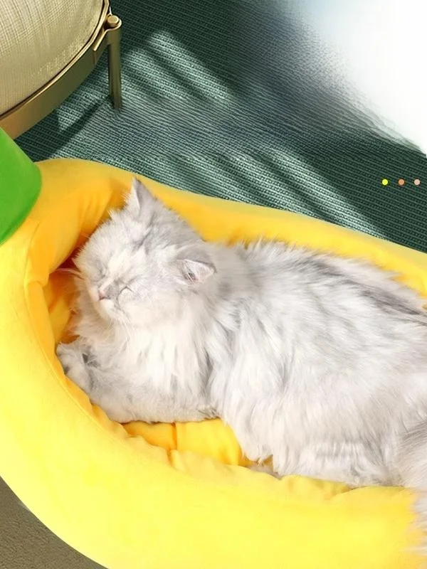 洗えるペット用ベッド【冬用・中型犬・小型犬兼用・バナナボートデザイン】の実用性と選び方