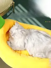 洗えるペット用ベッド【冬用・中型犬・小型犬兼用・バナナボートデザイン】