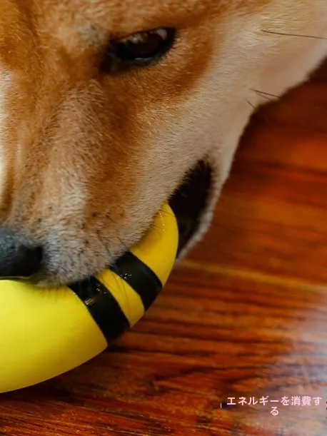 バナナ型ラテック ス音声犬のおもちゃ：3歳児向けの発達支援と遊びのバランスを実現