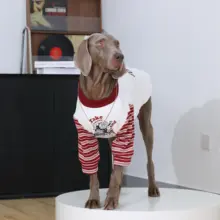 大型犬用 秋冬用セーター【ラブラドール・ゴールデン・ボーダーコリー・丸首・裏起毛】
