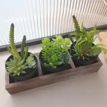 リアルな多肉植物の木製ボックス飾り【デスクトップ用・インテリア装飾・癒しのグリーン】（セットアップ対応）