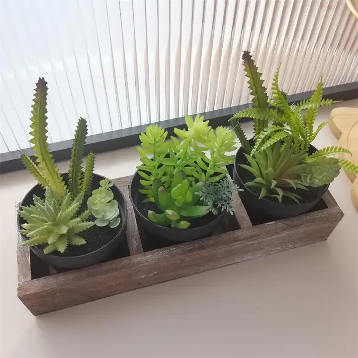 リアルな多肉植物の木製ボックス飾り【デスクトップ用・インテリア装飾・癒しのグリーン】（セットアップ対応）