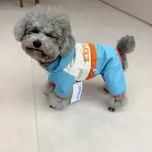 防水の犬用フーディー【汚れ防止・虫除け・全身カバー・テディやシュナウザー向け】