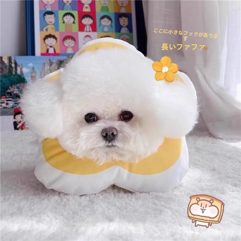 防水タイプ エリザベスカラー：小型犬用の舐め防止とマルチーズ対応が実証された実用性