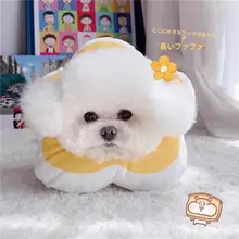 防水タイプ エリザベスカラー【小型犬用・舐め防止・マルチーズ対応】