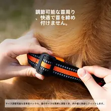 犬 首輪 中型犬 リーシュ
