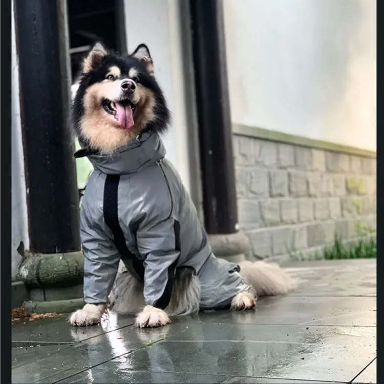 犬のお散歩グッズをコスパ良く揃える方法｜晴雨兼用アウトドアジャケットの実測ガイド
