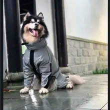 中型犬向けのアウトドアジャケット【防水・全身カバー・四脚対応】