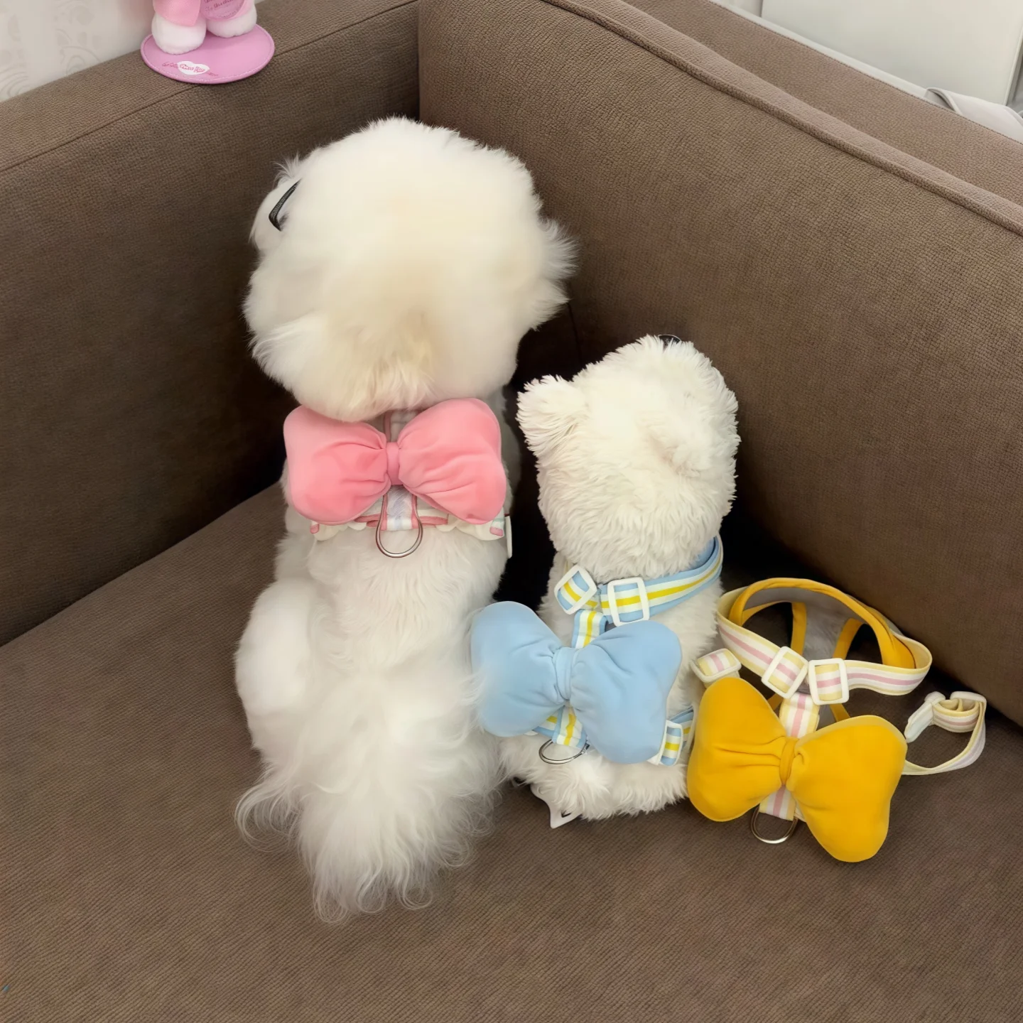 小型犬の引っ張りを防ぐためのハーネスは、本当に「抜けない」のか？