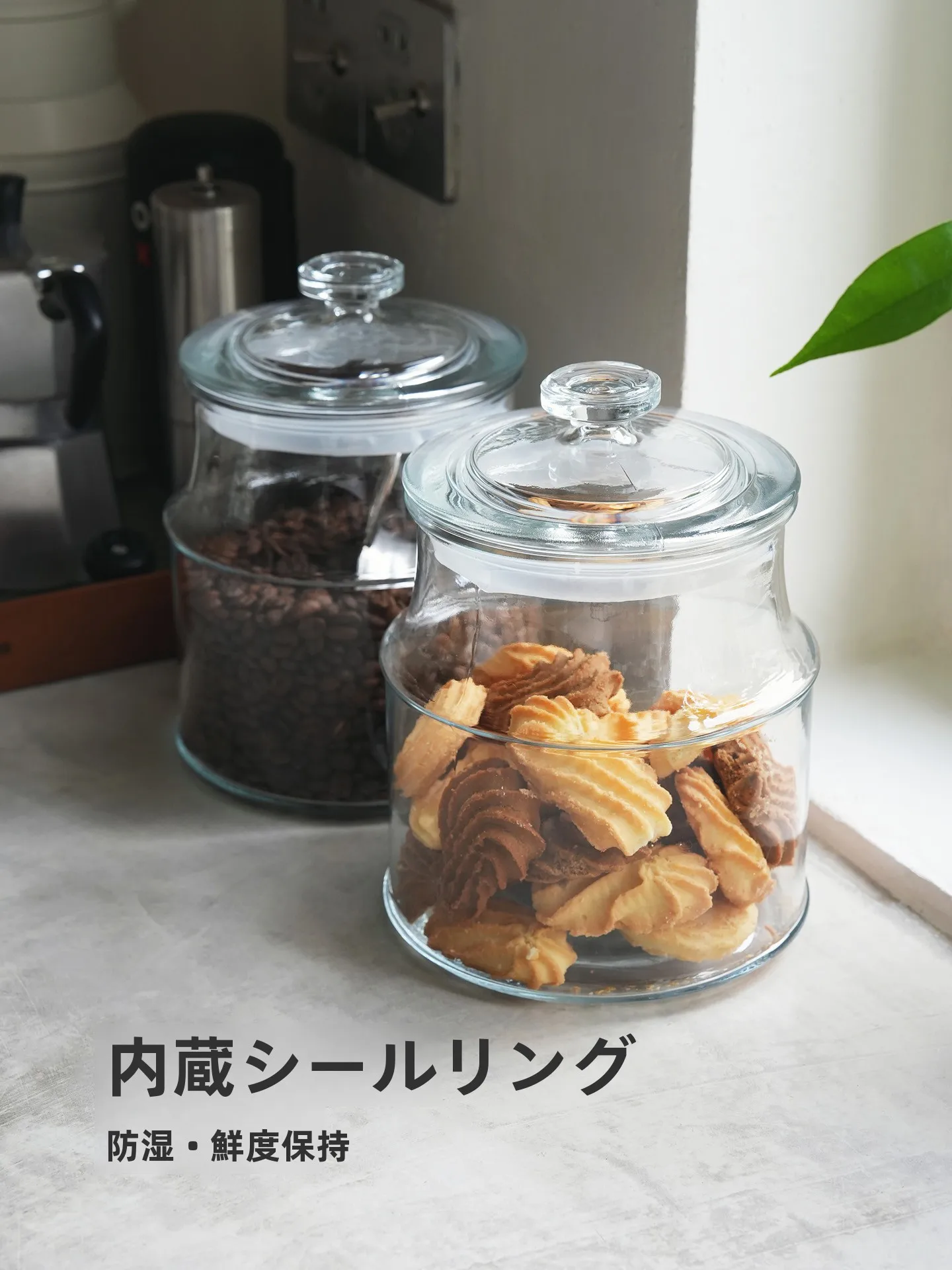 100均キャニスターとは何か：透明ガラス製の保存jarの仕様と実用性を解説