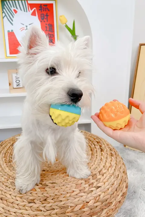 犬用ボールおもちゃ【音声機能付き・噛むのに耐える・幼犬用・発散】