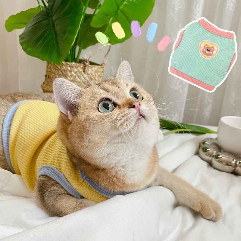 ディアウォール 猫：通気性に優れたペット用キャミソールの実用性と使用シーン
