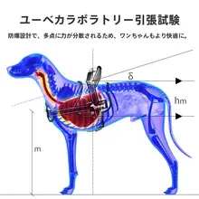 大型犬用 胸当てハーネス式リード【防爆デザイン・K9ペット用】