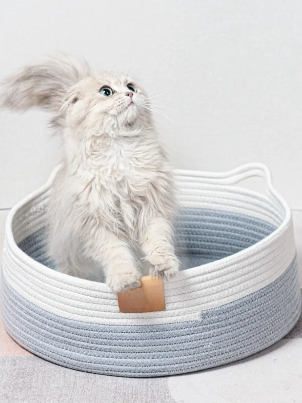 コットンロープ編みの猫ハウス：季節問わずの通気性と手作り感を実現