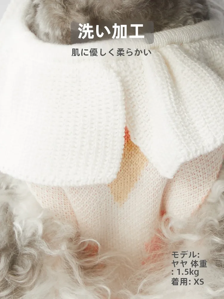 子供と暮らすとき、ペットの服はどんなものにしよう？