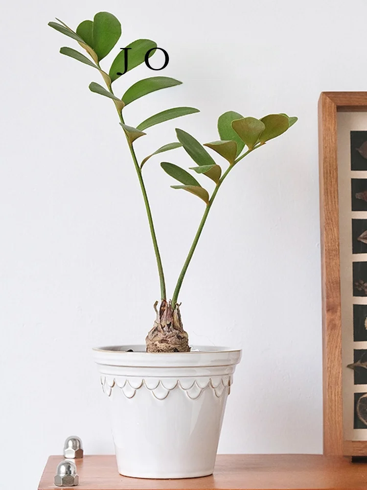 小さな部屋に植えるべき植物はどれ？北欧風の陶磁器花鉢が解決する、空間の調和の悩み