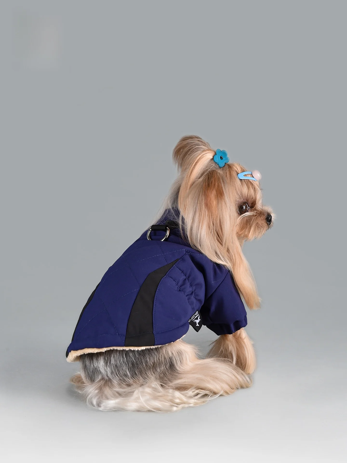 小型犬用冬用防寒ジャンパー：保温性とリードフック付きの実用性を徹底検証