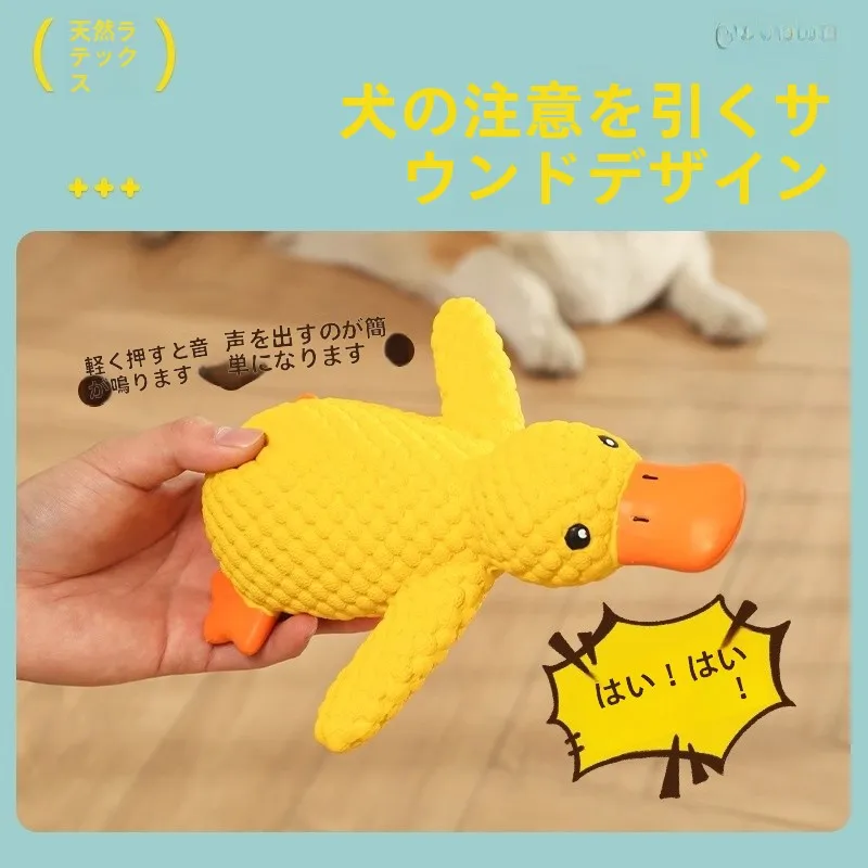 犬用おもちゃ【鳴き声・噛みごたえ・解消・小型犬向け】：長く遊べるおもちゃの実用性と耐久性を検証
