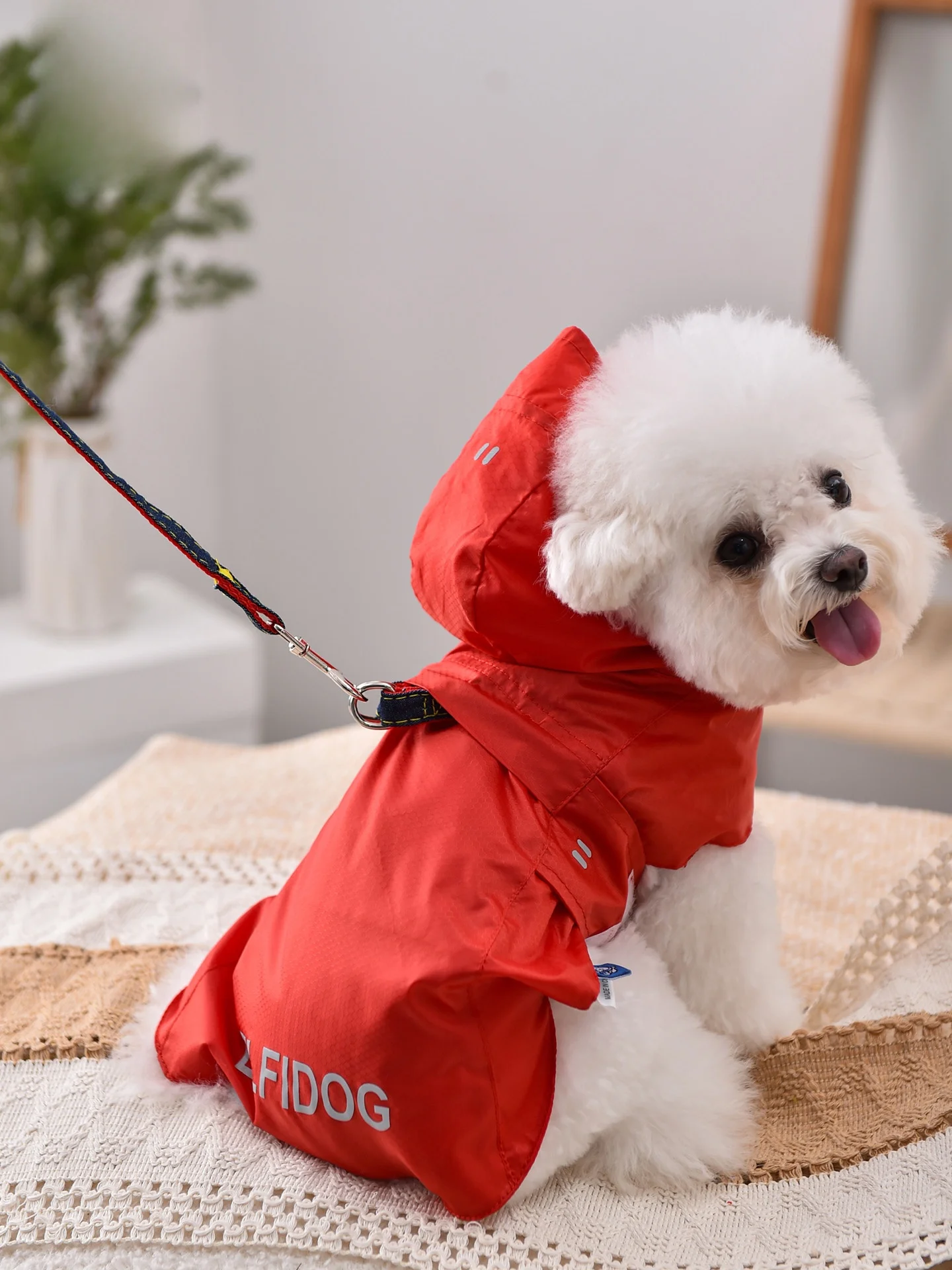 犬のレインコート：ハーネス穴付き・通気性と着脱の利便性を重視した実用モデル